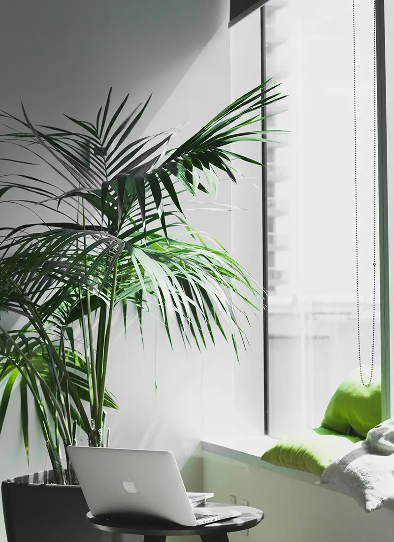 well paid sales associate jobs toronto